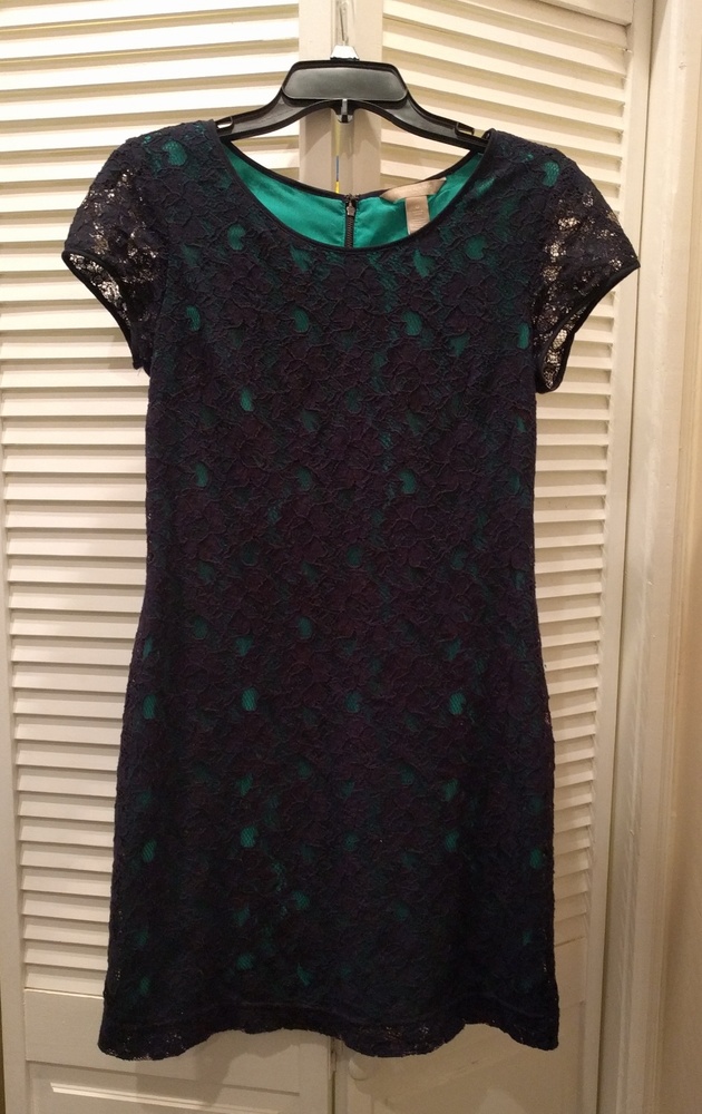 Banana Republic Navy Lace Dress